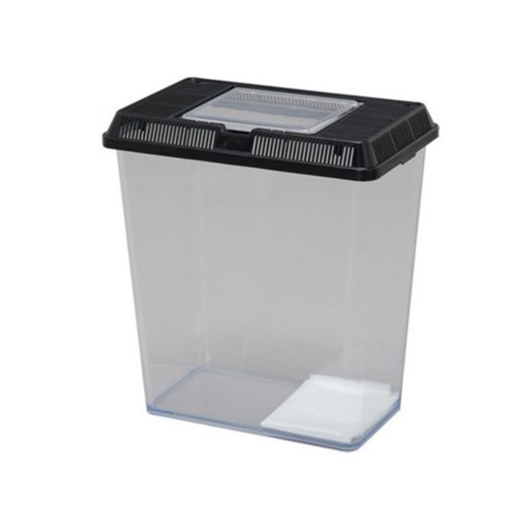 アイリスオーヤマ 飼育ケース 昆虫 プラスチックケース （コバエ防止