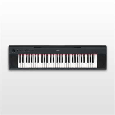 NP-11 - Overview - Piaggero - Keyboard Instruments - Musical