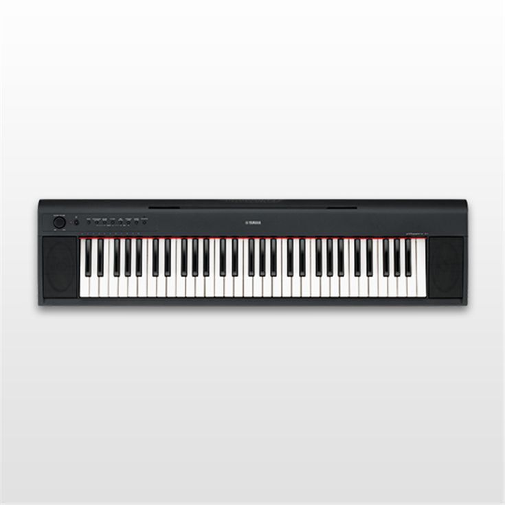 NP-11 - Overview - Piaggero - Keyboard Instruments - Musical