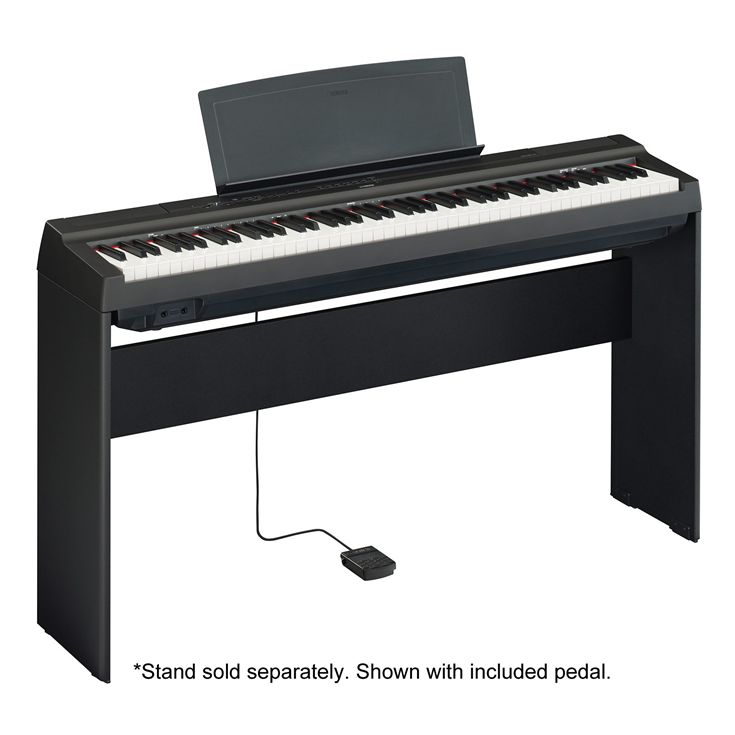 P-125 - Accessories - Portables - Pianos - Musical Instruments