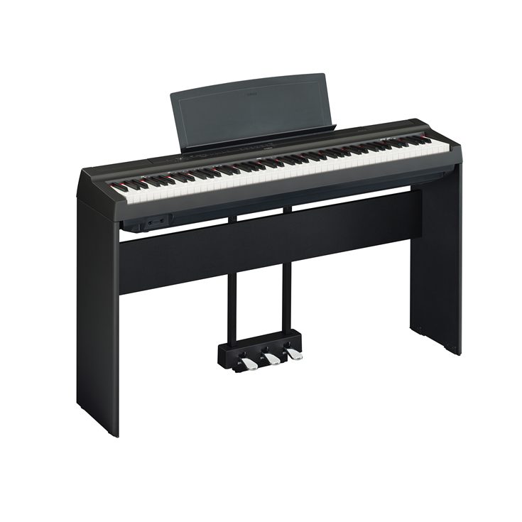 P-125 - Overview - Portables - Pianos - Musical Instruments