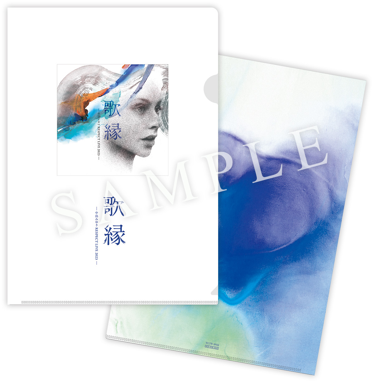 世界が違って見える日』＜完全生産限定アナログレコード（LP