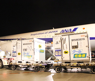 国際宅急便エコ - Yamato Transport USA | Consumer Services