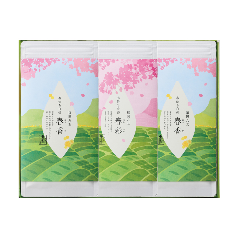 星の露 八女抹茶 星野製茶 薄茶 hoshinotuyu｜八女茶・深蒸し茶・玉露