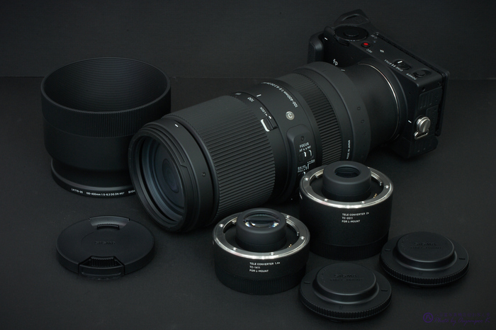 お写ん歩: SIGMA 100-400mm F5-6.3 DG DN OS | Contemporaryアーカイブ