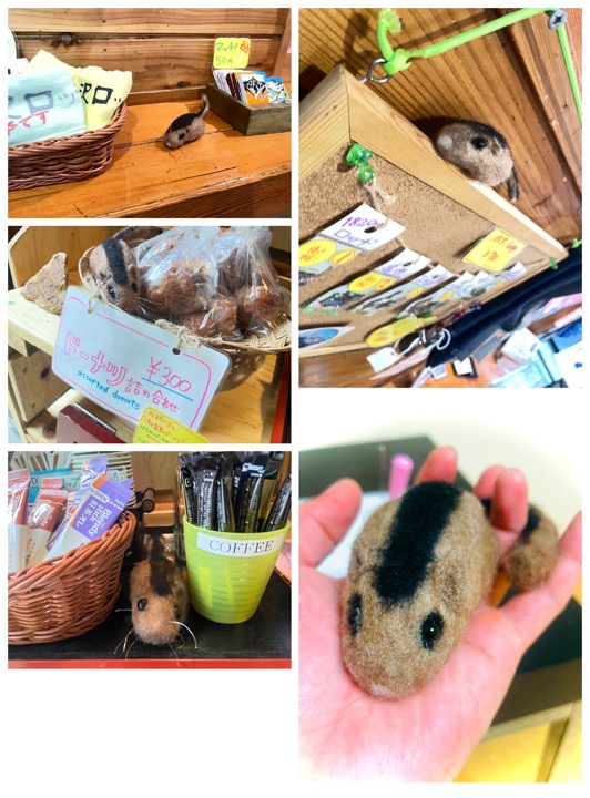 満員御礼！！ | 槍沢ロッヂ | 槍ヶ岳山荘グループ