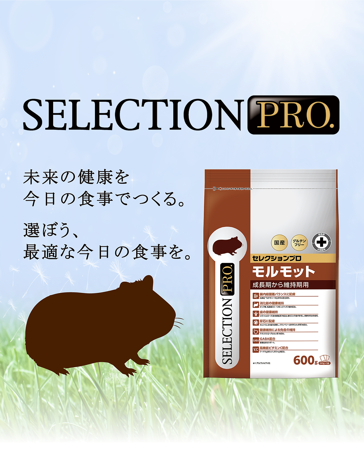 GUINIEA PIG SELECTION PRO.｜ブランドサイト ― TOP