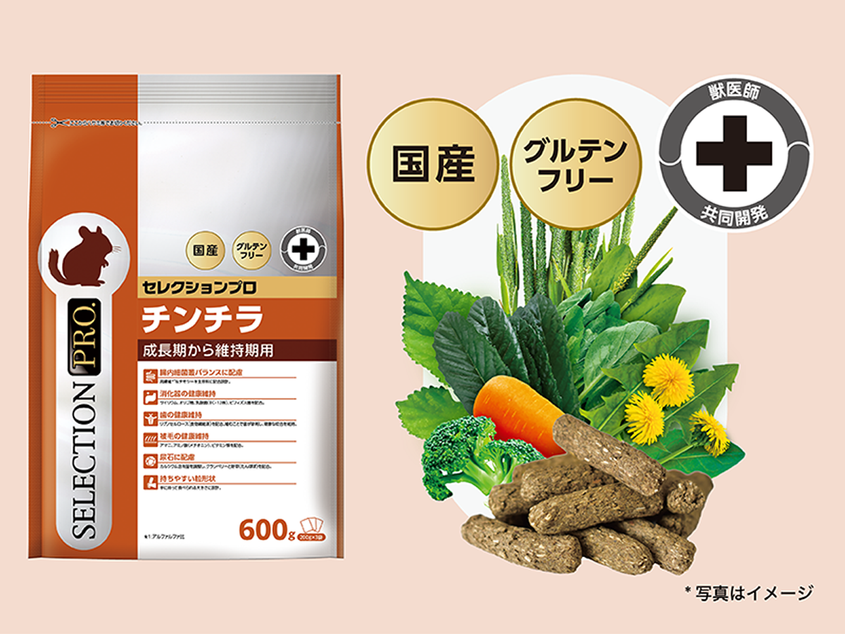 CHINCHILLA SELECTION PRO.｜ブランドサイト ― TOP