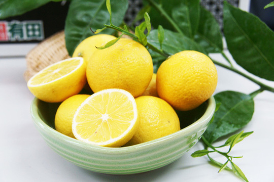 星タンゴールの苗木（販売） - 果樹苗木の生産・販売 株式会社吉岡国光