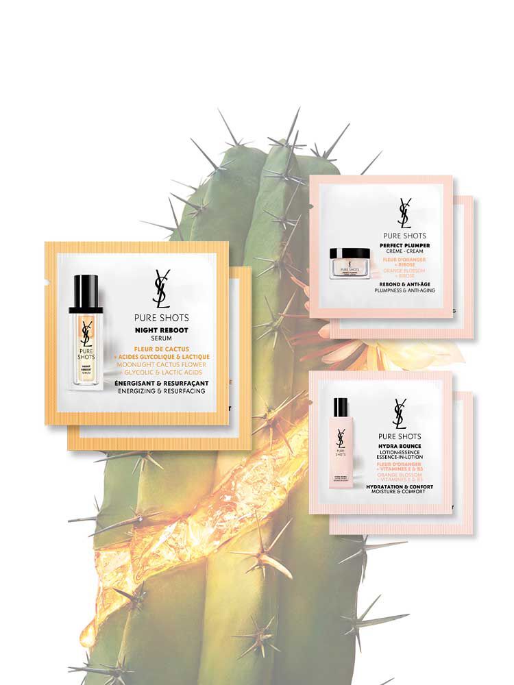 イヴ・サンローランケース④試供品セット 【公式通販】