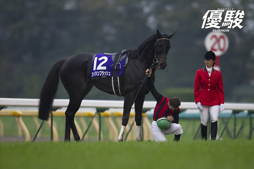 府中で二度煌いた閃光 エイシンフラッシュの瞬き | エイシンフラッシュ