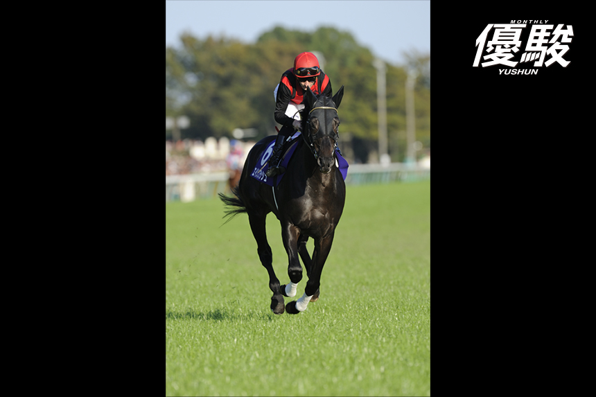 府中で二度煌いた閃光 エイシンフラッシュの瞬き | エイシンフラッシュ