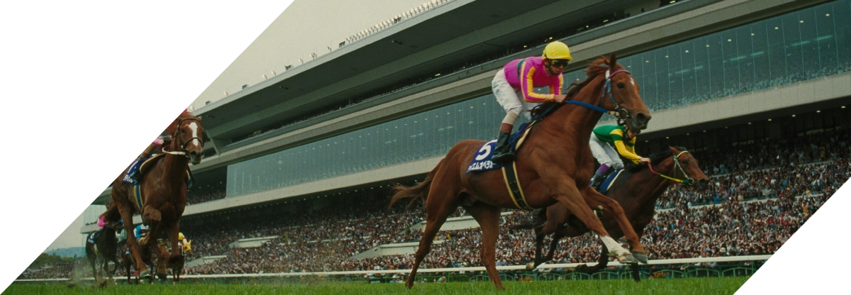 優駿でよみがえる京都競馬場の記憶と記録