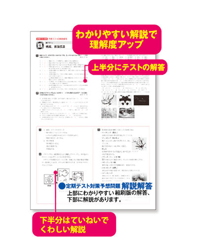 中学生教材「マイティーナビ」｜ジェイピーエヌ株式会社