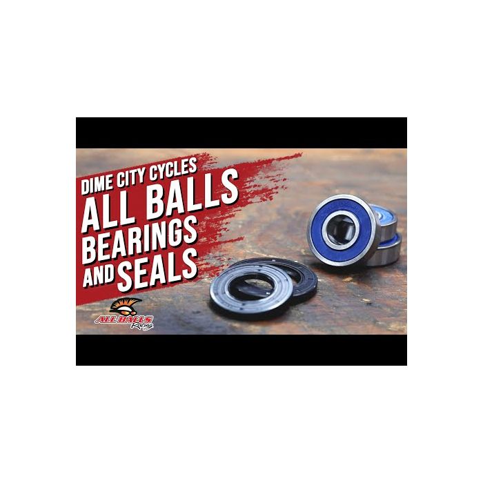 Needle Bearing - Swingarm - 22mm x 28mm x 16mm - KZ440 - KZ650