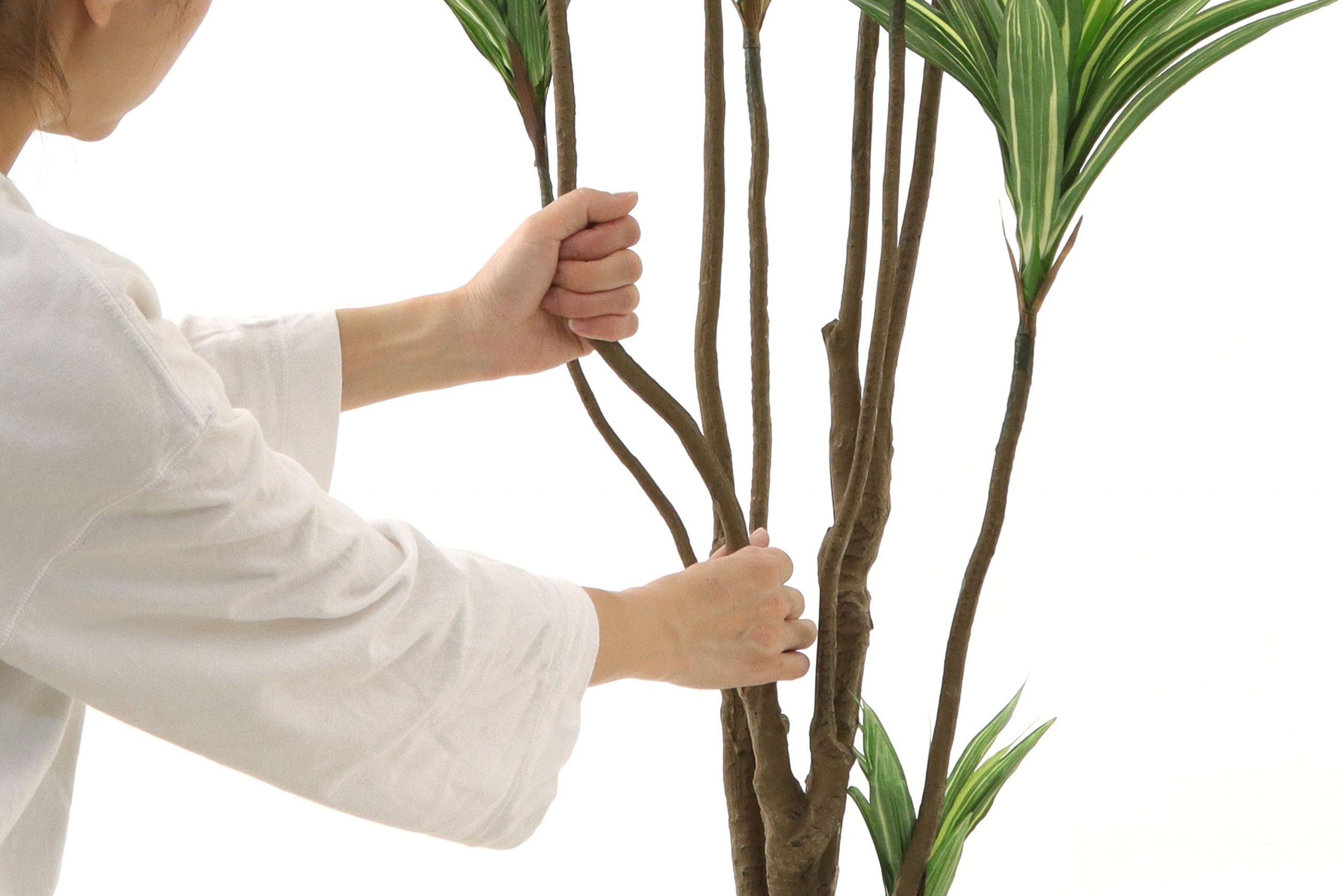 フェイクグリーン初心者必見！開封後すぐにやるべきこととは