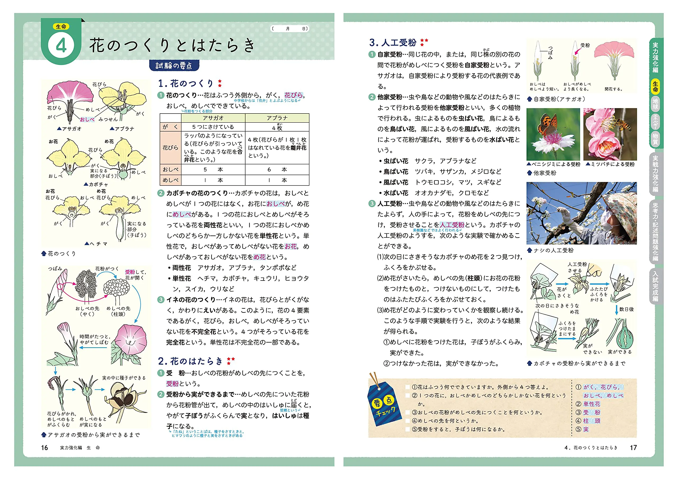 中学入試 実力突破 理科：中学入試 実力突破 - 小学生の方｜馬のマーク