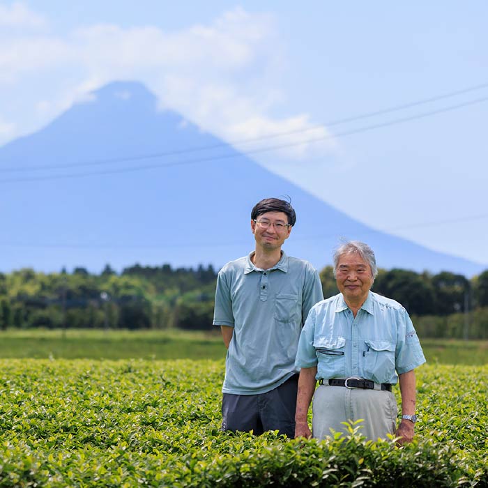 かごんま緑茶 280ml×24本｜水・焼酎の財宝オンラインショップ