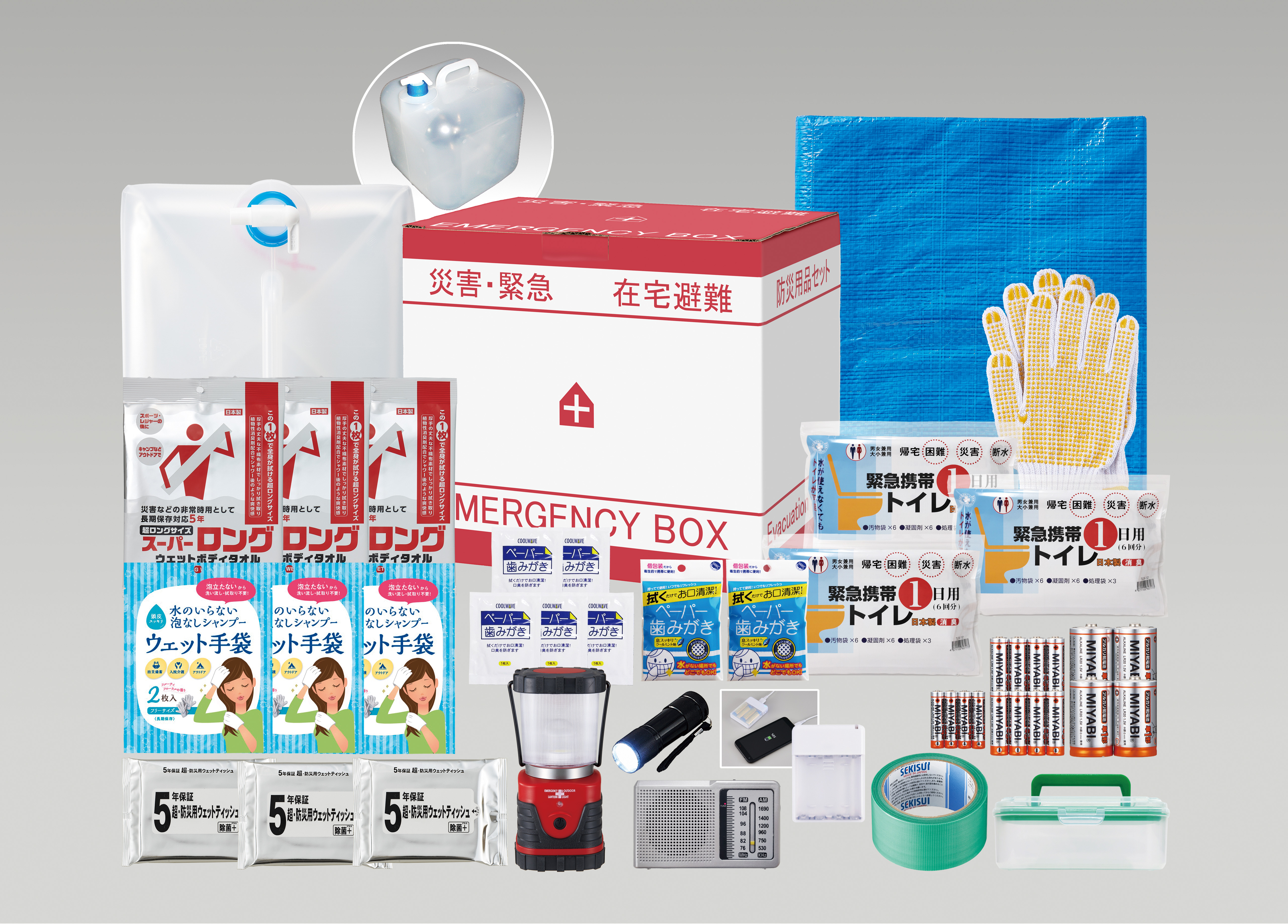 DES 119回国試用 保存科 3冊 裁断済 DES 119回国試用 保存科 3冊 裁断