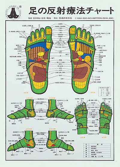 足の反射療法チャート | 全医療器