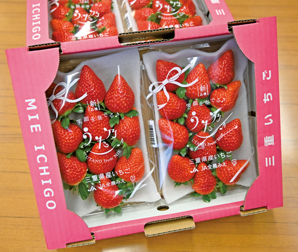 イチゴ新品種「うた乃」がデビュー｜JA全農ウィークリー