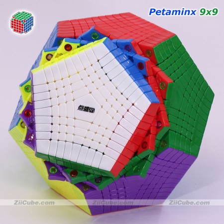 DianSheng Magnetic Petaminx 9x9 megaminx cube, puzzle intellectual