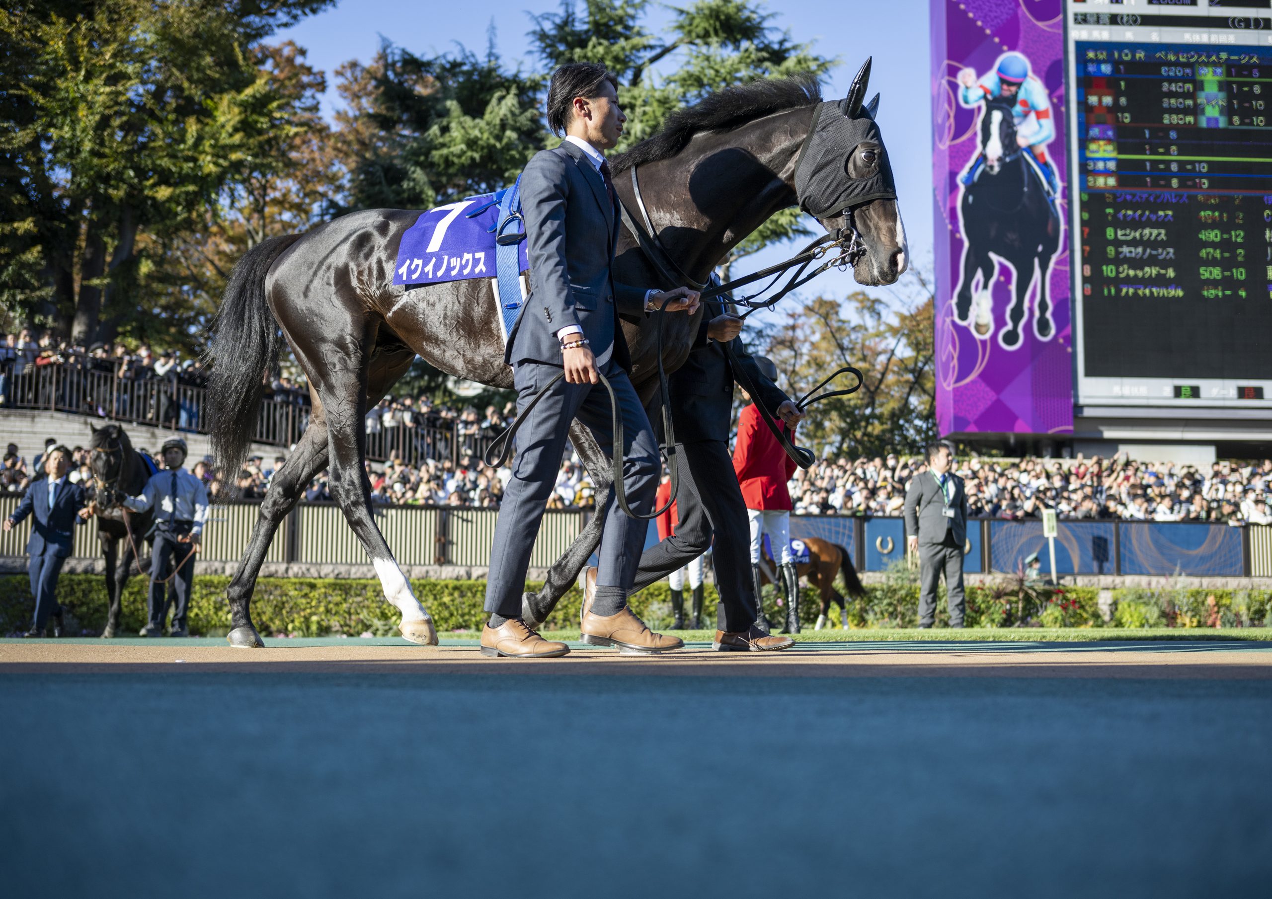イクイノックス 第168回天皇賞・秋(GⅠ)優勝！