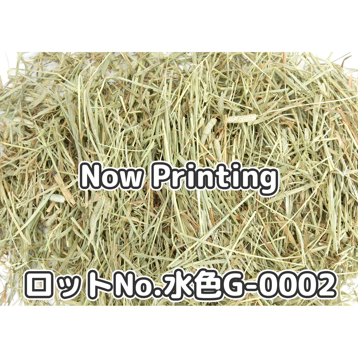 牧草の粉が少ない』 USプレミアムチモシー2番刈りダブルプレス