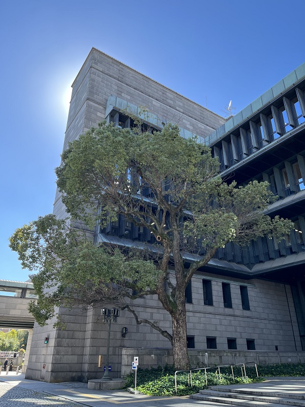 フォトギャラリー：日本銀行大阪支店のあゆみ