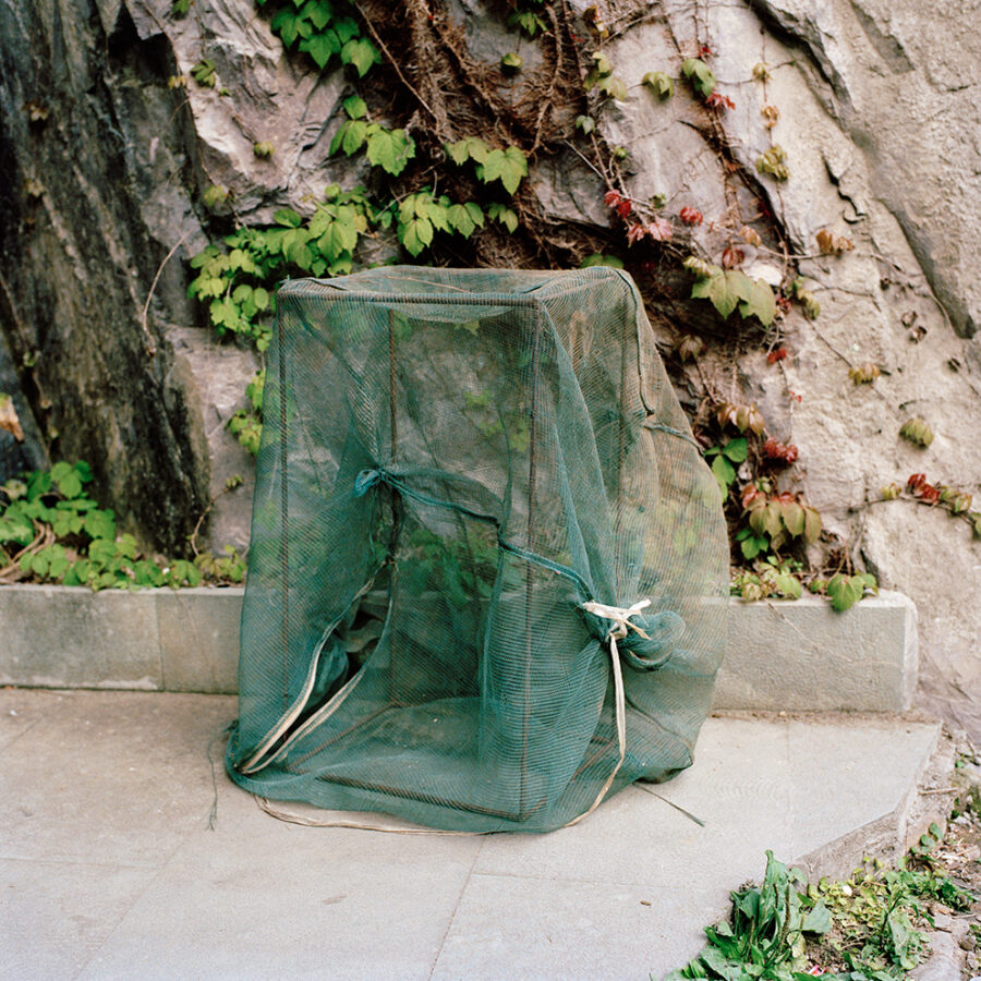 xiaoxiao xu - The way to the golden mountain