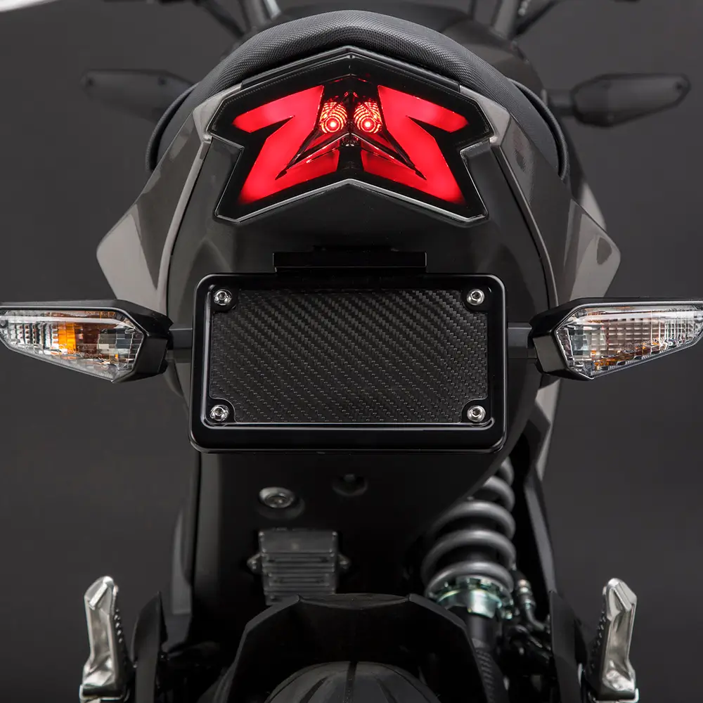 LED Integrated Taillight For Kawasaki Z800 Ninja 125 ZX6R 636