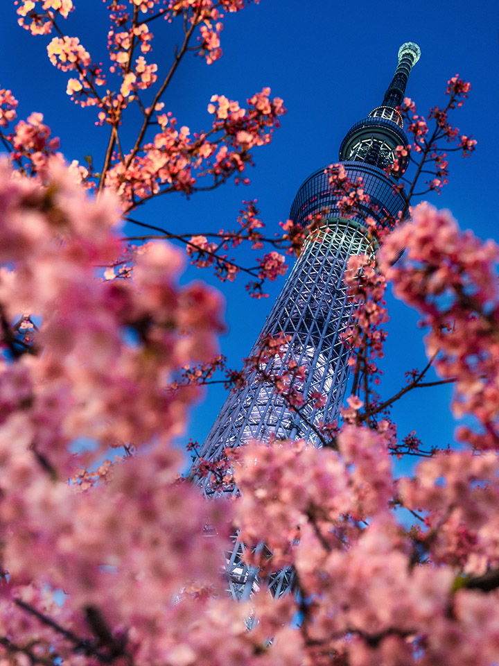 Interview Vol.3 別所隆弘｜FUJIFILM GFX 50R HANDS ON｜富士フイルム