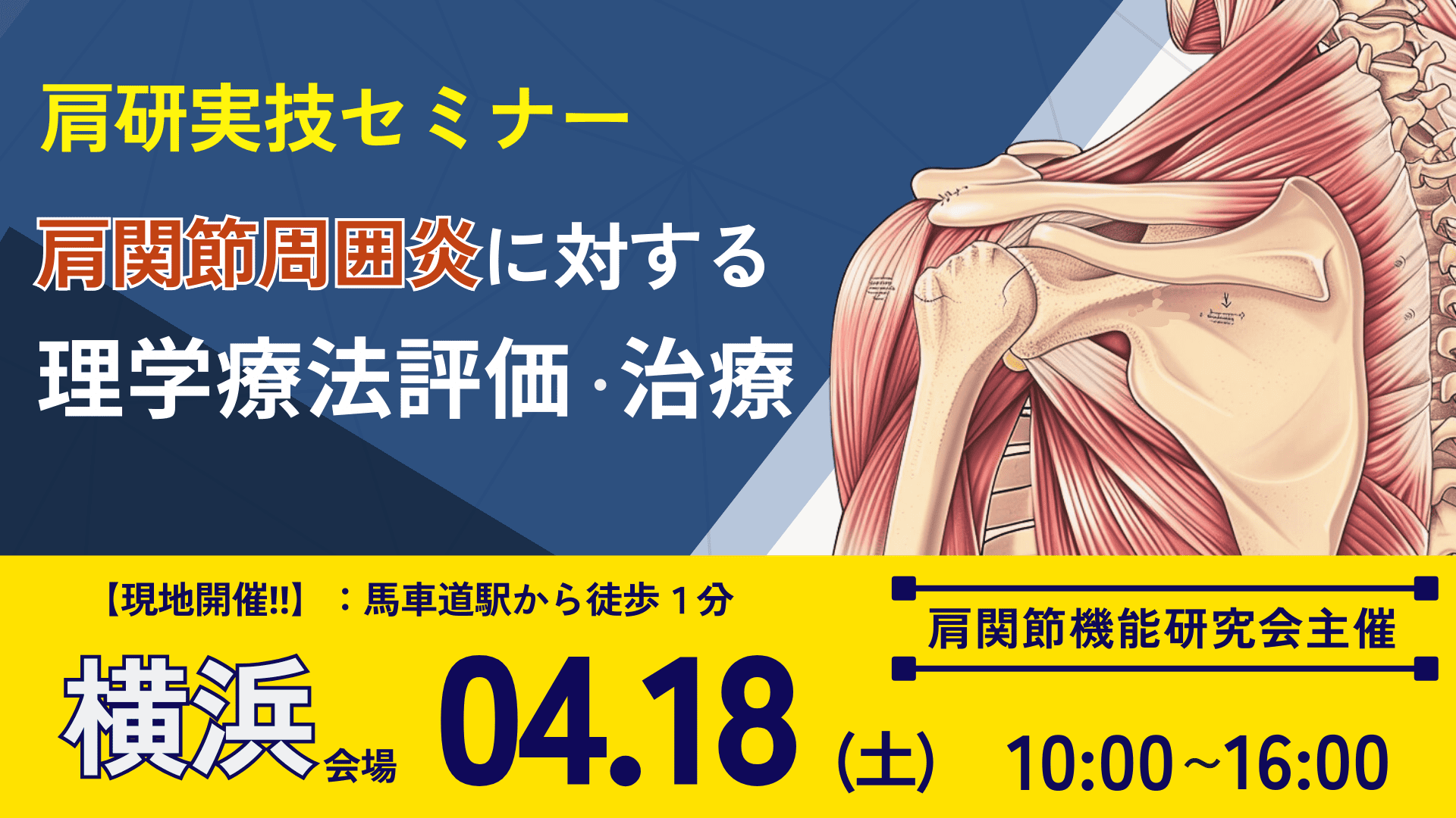 横浜開催‼【肩研実技セミナー】肩関節周囲炎に対する理学療法評価と