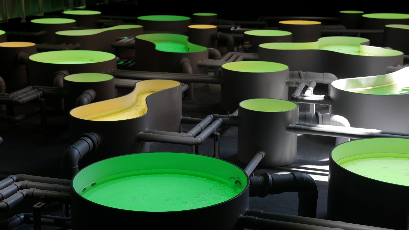 万博・日本館の主役は微細藻類ものづくり、発電所のCO2で大量培養も