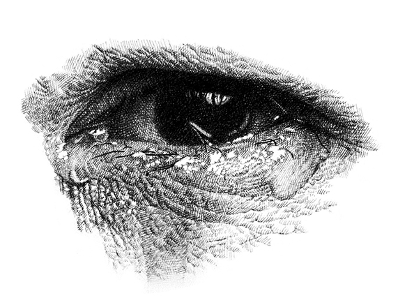 展示案内｜野田弘志-真理のリアリズム