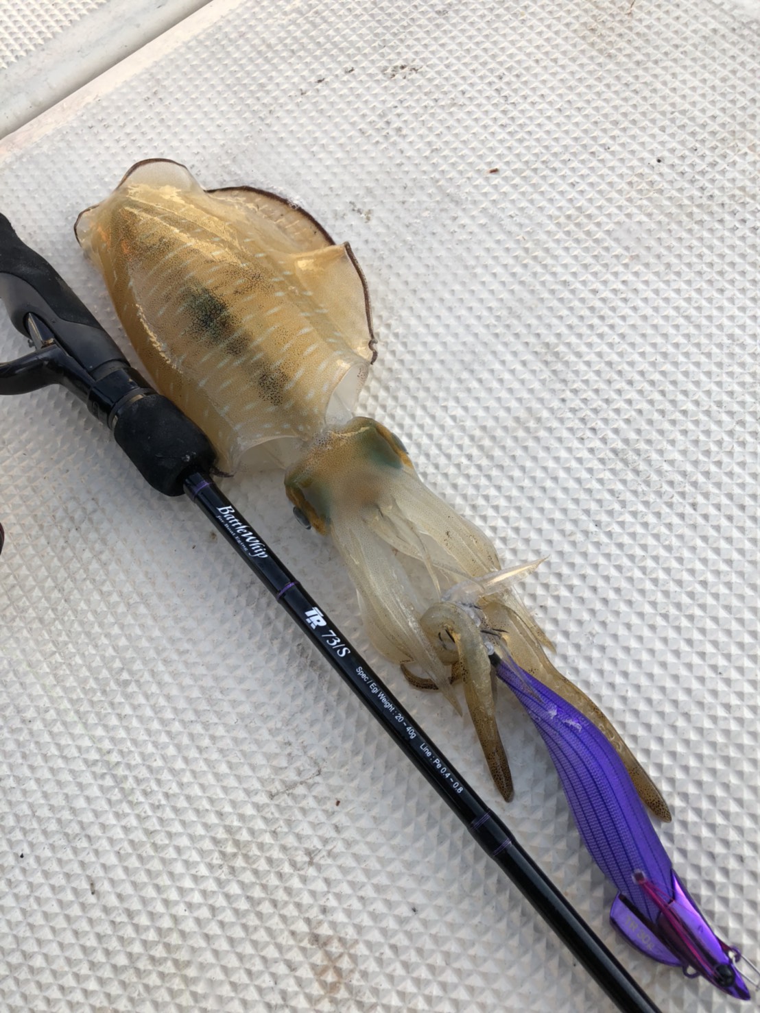 Battlewhip TR 73/S (Shallow)について | YAMAGA BlanksYAMAGA Blanks