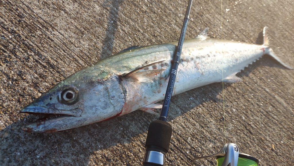 福岡県】マイクロメタルライトゲーム BlueCurrent III 69 | YAMAGA