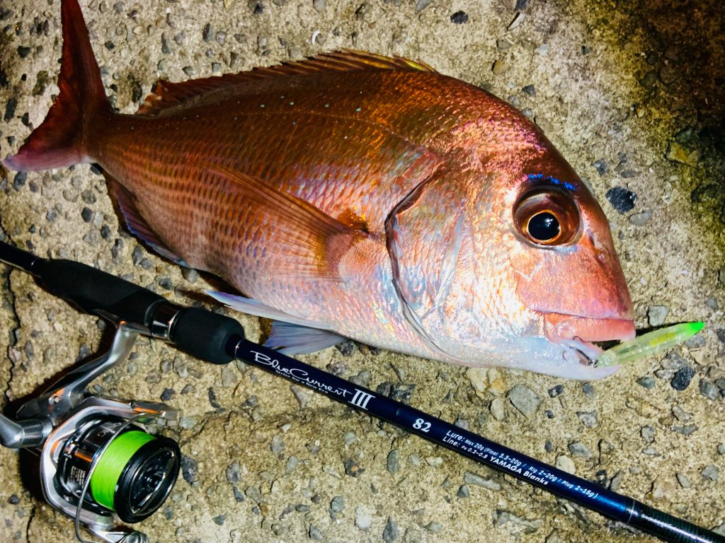 マダイ BlueCurrentⅢ82 | YAMAGA BlanksYAMAGA Blanks