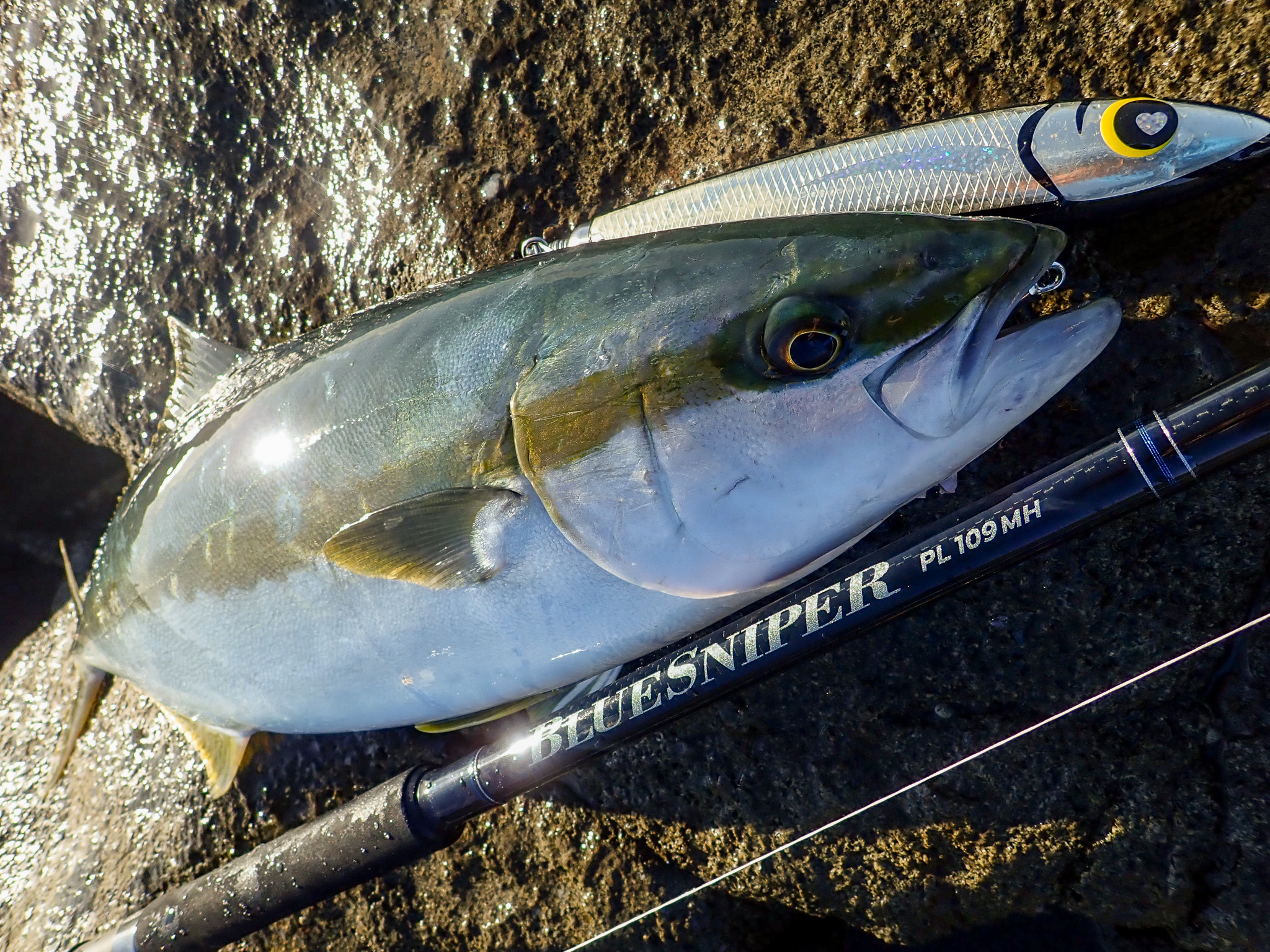 2024 新製品解説】「ブルースナイパー」の進化に迫る | YAMAGA