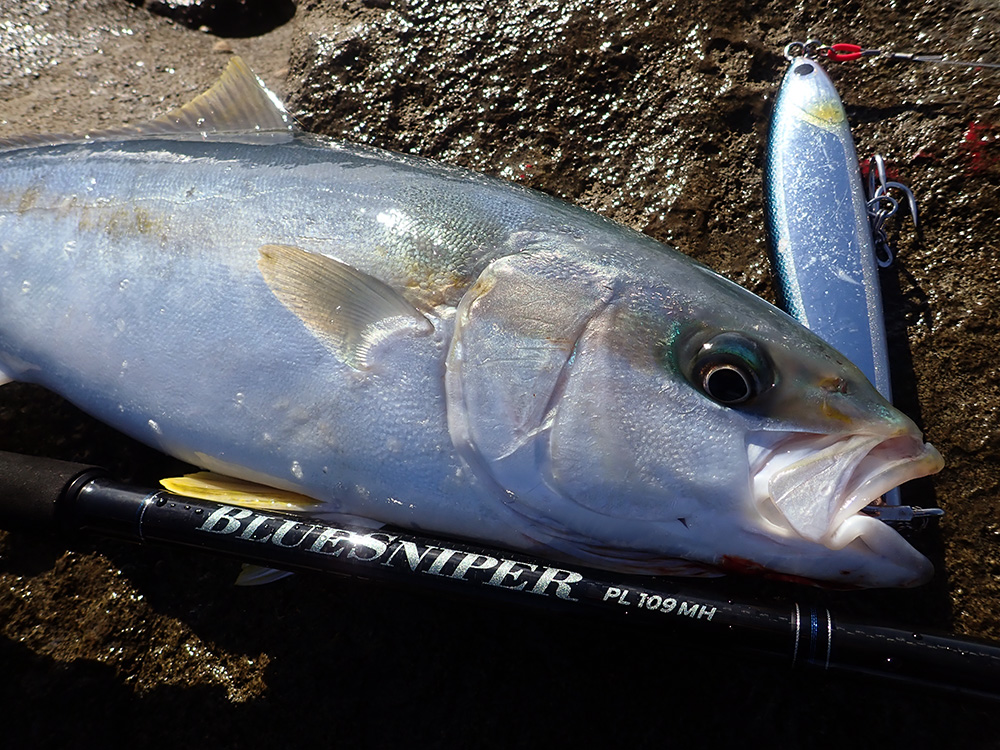 2024新製品】長距離攻略プラッギングモデル『NEW BlueSniper PL109MH