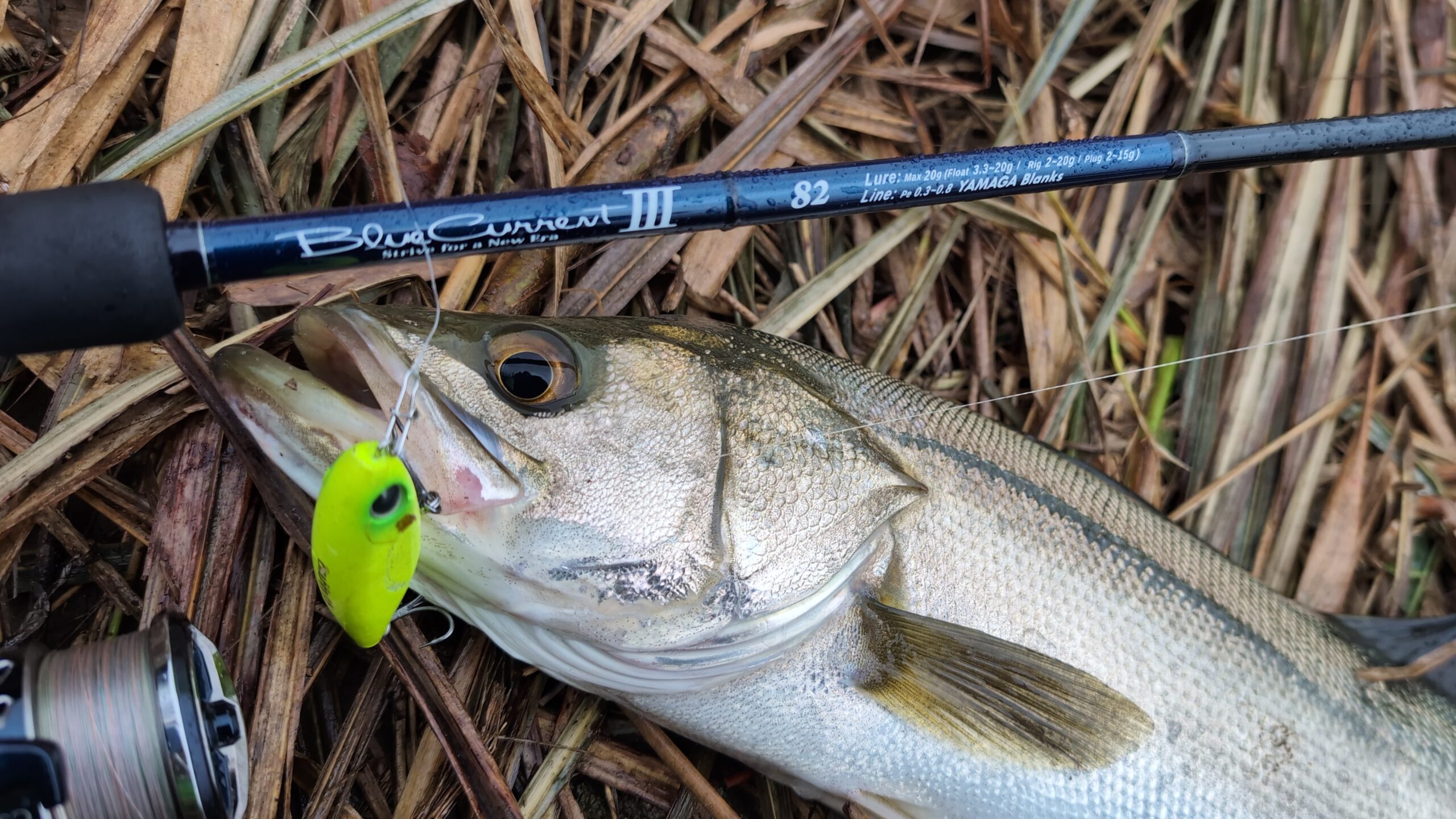 宮城県】ライトゲーム BlueCurrentⅢ82 | YAMAGA BlanksYAMAGA Blanks