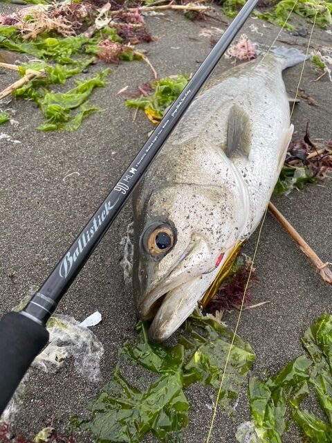 大阪府】シーバス Ballistick 90ML-M | YAMAGA BlanksYAMAGA Blanks