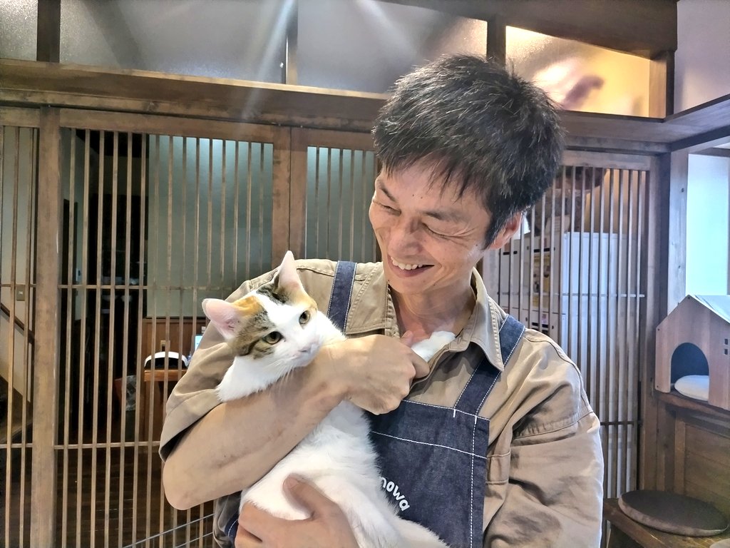 猫にも人にも優しい店長が迎えてくれる癒やしの保護猫カフェ 下関市