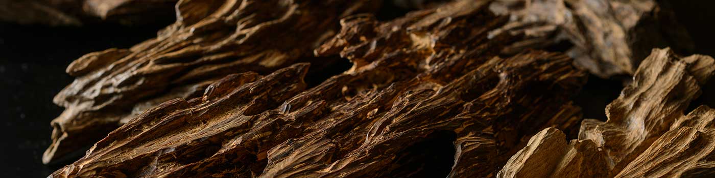 香木について - 株式会社 山田松香木店｜江戸時代から続く京都の老舗