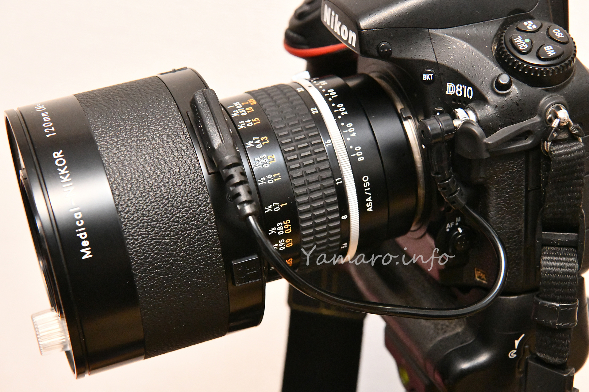 Medical-NIKKOR 120mm F4(IF) アーカイブ - Blog@yamaro.info
