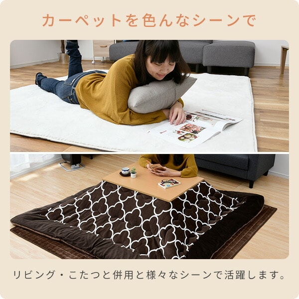 販売終了】ホットカーペット 3畳 空気をキレイにする SUEF-F301 山善