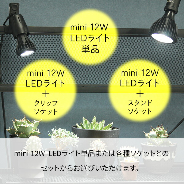 ミニ クリップ/スタンド/ライト EVERSUN365 MINI ゼンスイ | 山善