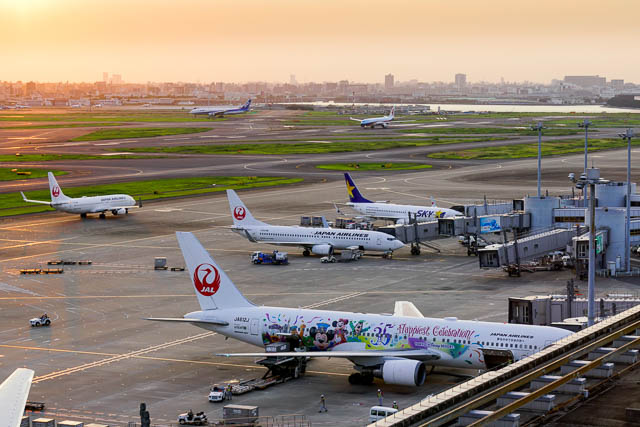 35周年ディズニー】JALセレブレーションエクスプレスに乗りたい！運航