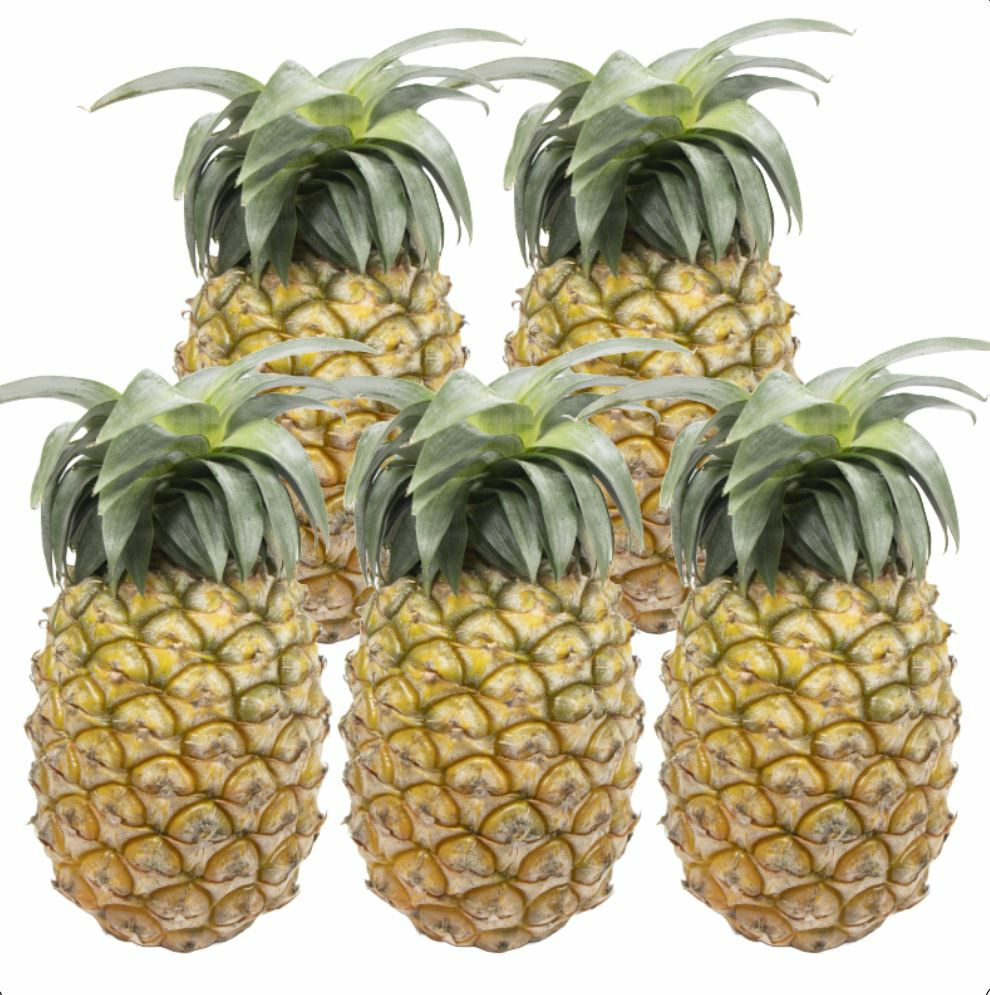 パイナップル | 【公式】やえやまファームオンラインショップ