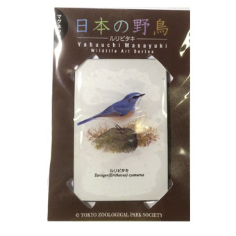 薮内正幸美術館ミュージアムショップ | マグネット「日本の野鳥